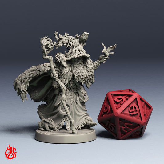 Galather, Cercle du Druide Berger