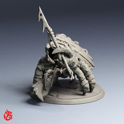 Cangrejo ermitaño gigante