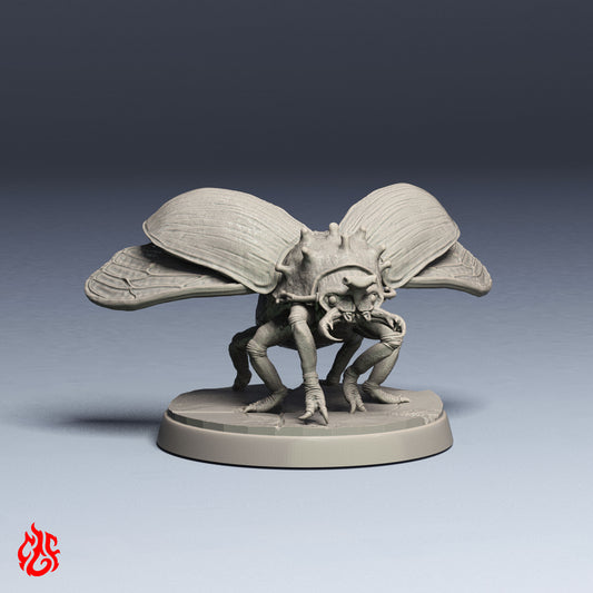 Bombardier Flying Beetle