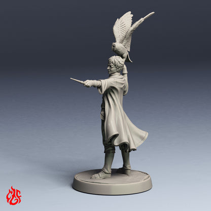 Harry Apprentice Wizard