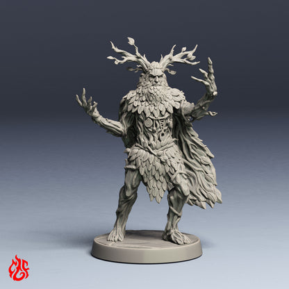 Bihorn, Druid Wood Shifter