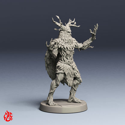 Bihorn, Druid Wood Shifter