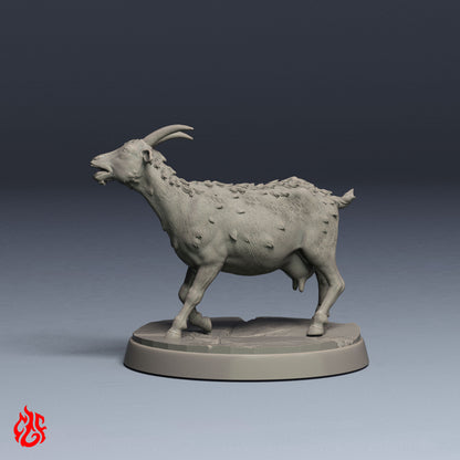 Chèvre