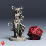 Alyndra, Circle of the Land Druid