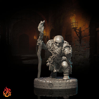 Dwarf Druid (Digital, STL files)