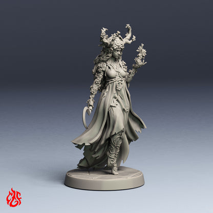 Alyndra, Circle of the Land Druid