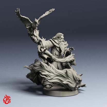 Albus The Master Mage