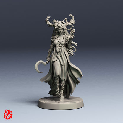 Alyndra, Circle of the Land Druid