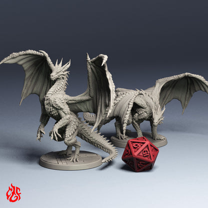 Ember Brood's Nest Bundle