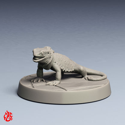 Familier lézard de feu