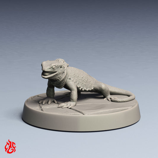 Familier lézard de feu