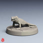 Familier lézard de feu