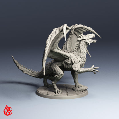Jeune dragon rouge