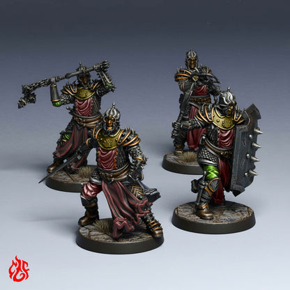 Guerreros del Dragón Negro