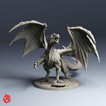 Jeune dragon rouge