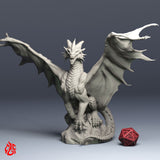 Lamia Nautilion