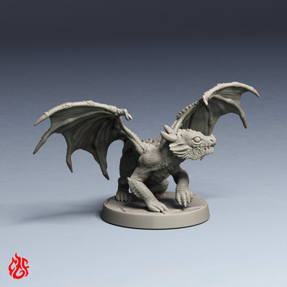 Dragon rouge nouveau-né