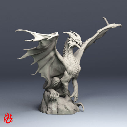 Lamia Nautilion