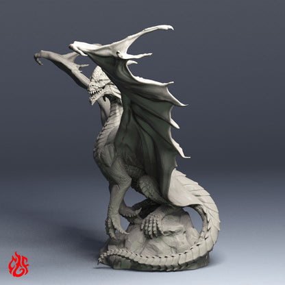 Lamia Nautilion