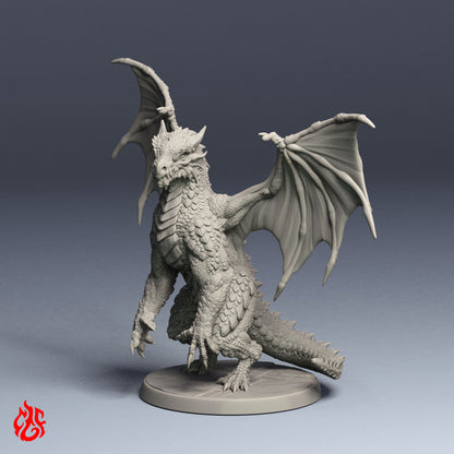 Lamia Nautilion