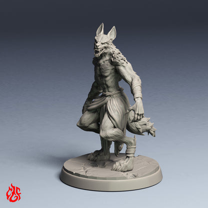 Jackals Bundle