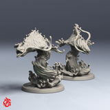 Nautilion Lamia