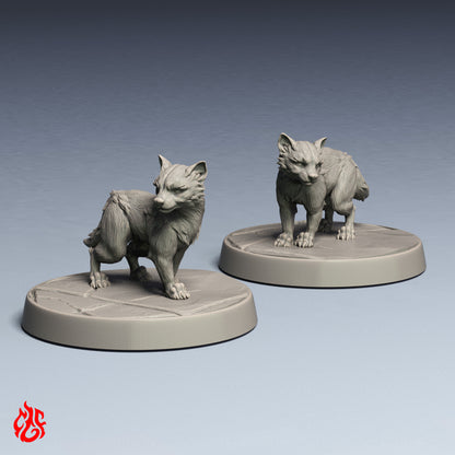 Cachorros de chacal