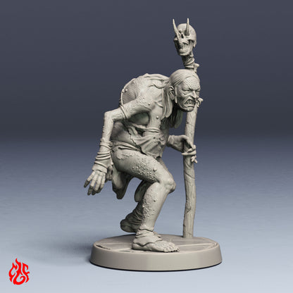 Sorcière des marais