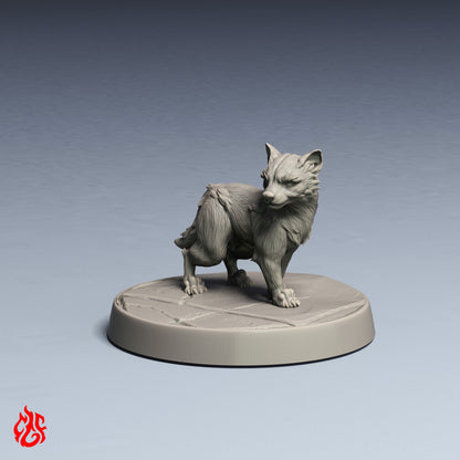 Cachorros de chacal
