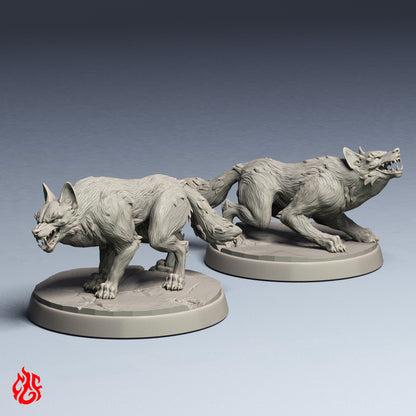 Jackals Bundle