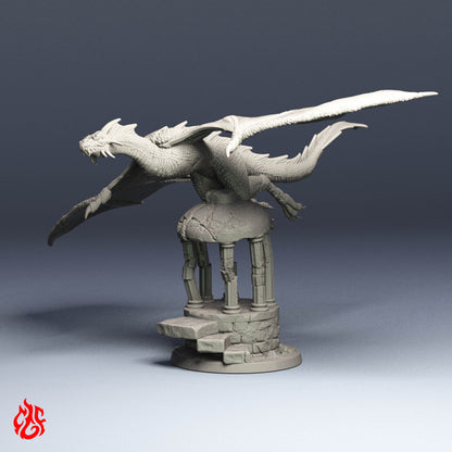 Jóvenes dragones negros