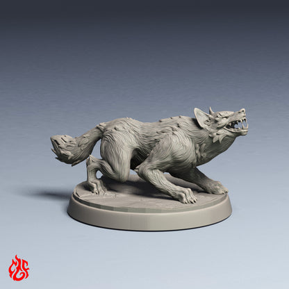 Jackals Bundle