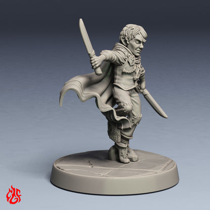 Hobbit Hero, Tim The Rogue