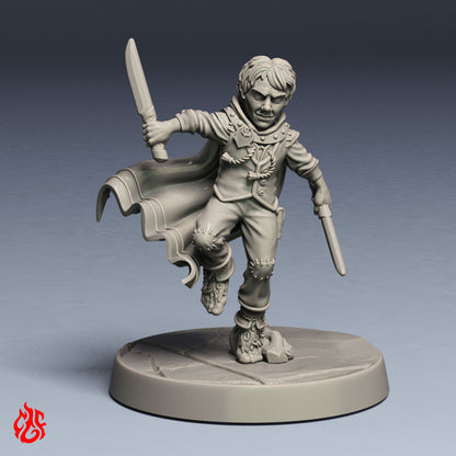 Hobbit Hero, Tim The Rogue