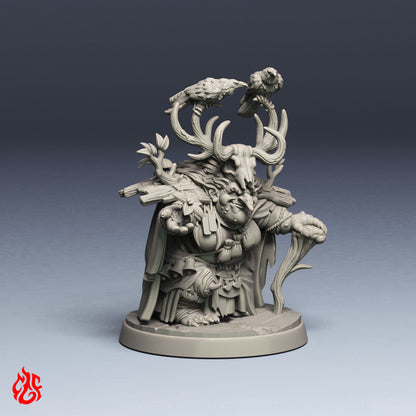 Blirta, Half-troll Druid