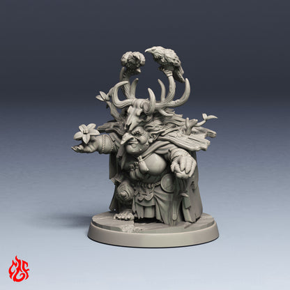 Blirta, Half-troll Druid