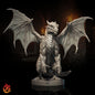 Lamia Nautilion