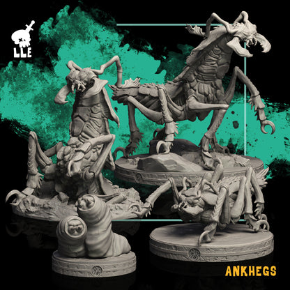 F1095. Ankheg lair bundle (Digital, STL files)