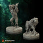 Amazonas corruptas