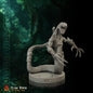 Amazonas corruptas