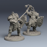 Caballeros del Dragón Plateado