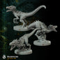 Razortalons Raptors