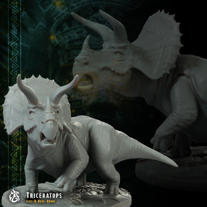 Triceratops