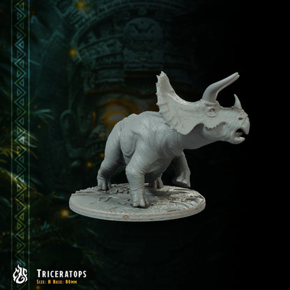 Triceratops