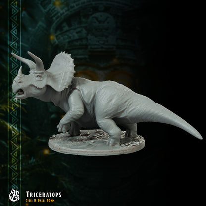 Triceratops