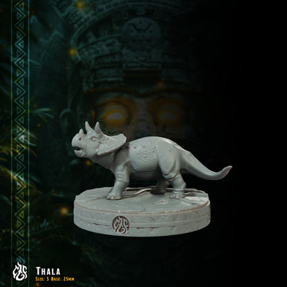 Thala, Baby Triceratops Companion