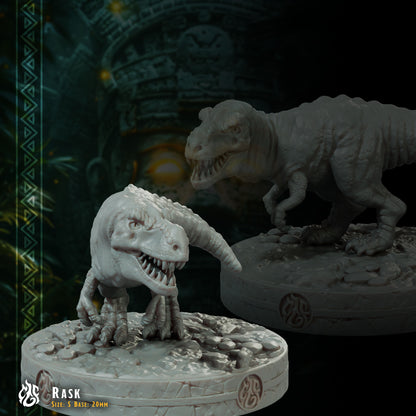 Rask, Baby Tyrannosaurus Companion