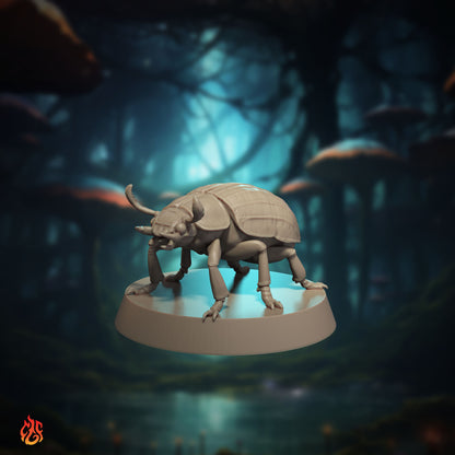 Desert Scarab