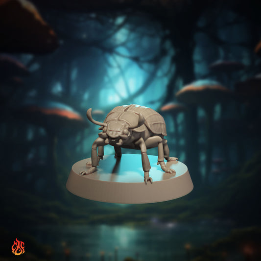 Desert Scarab