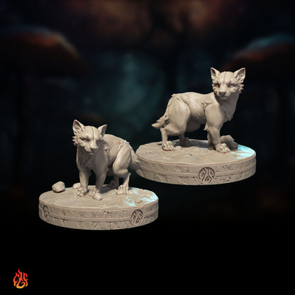 Jackals Bundle